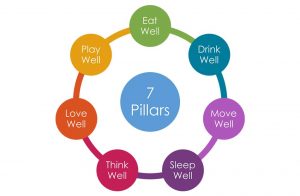 elsa jones 7 pillars of health